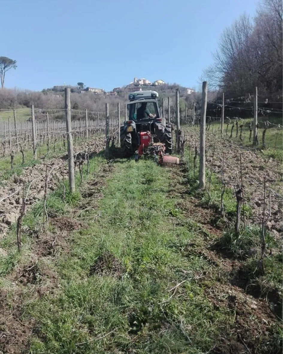 Lavorazioni su strato (2).