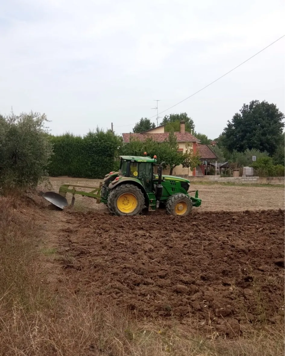 Lavori di scasso del terreno (2).