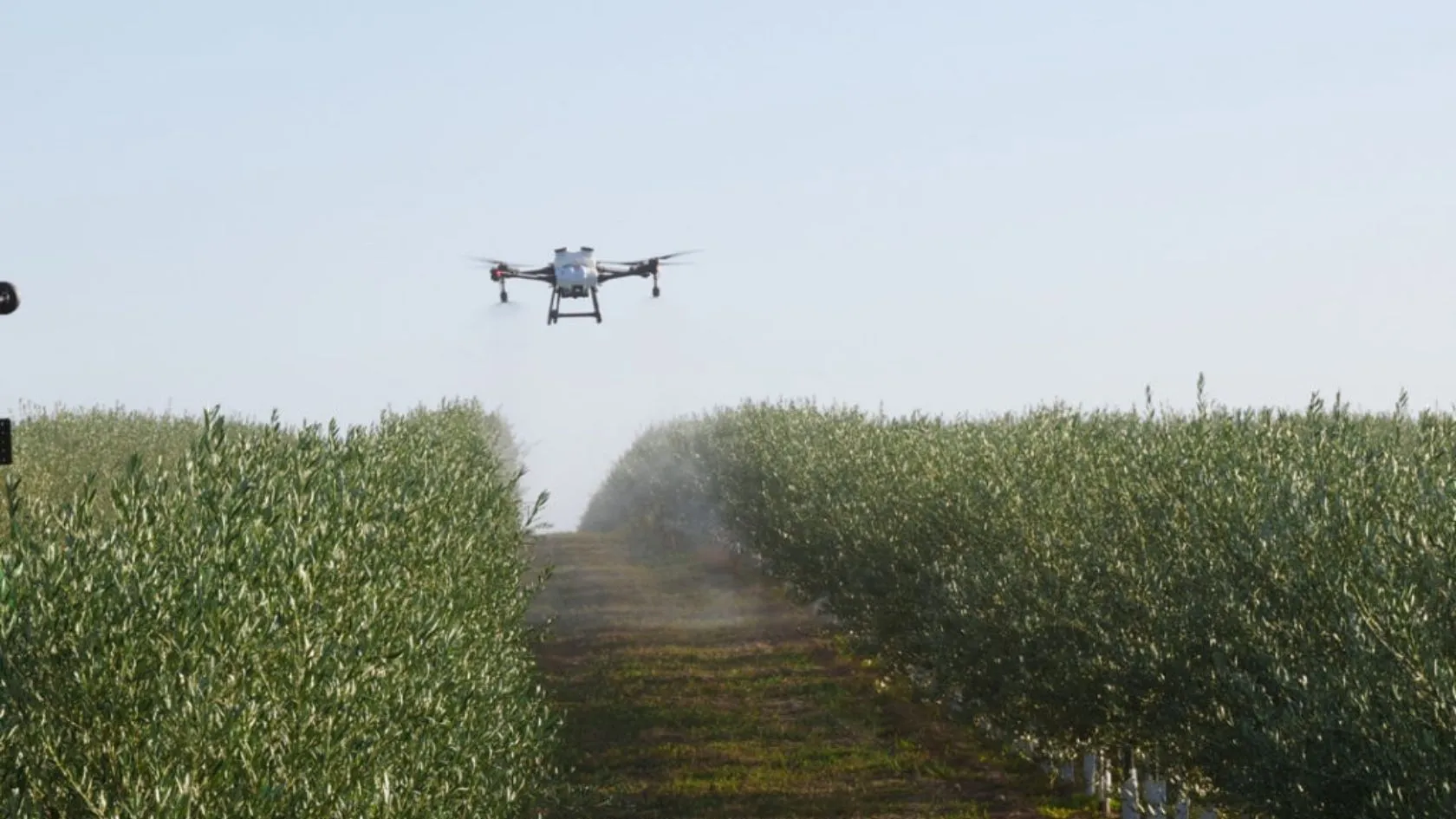 Servizio con drone (3).
