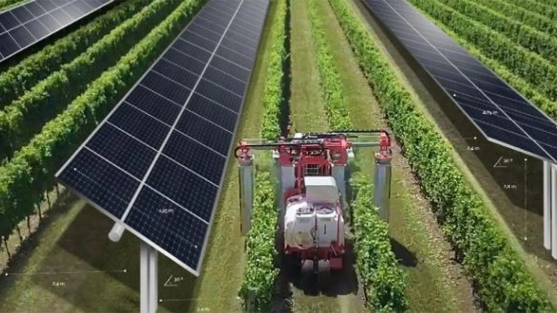 Infrastrutture agrovoltaiche (2).