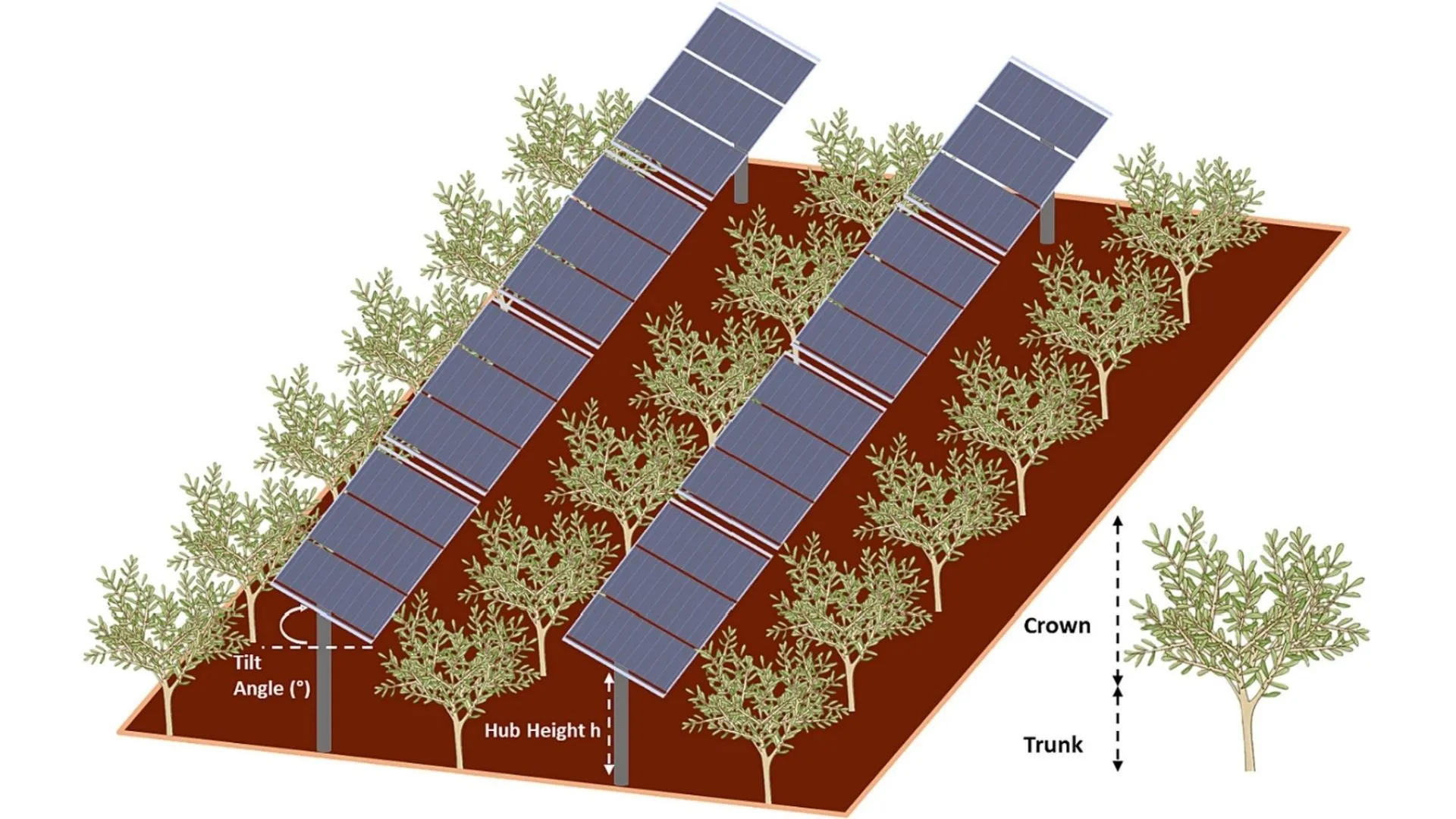 Infrastrutture agrovoltaiche (3).