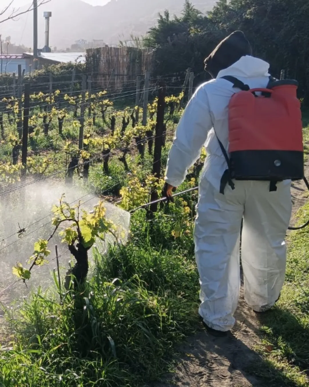 Servizi di gestione per le isole e zone montane.
