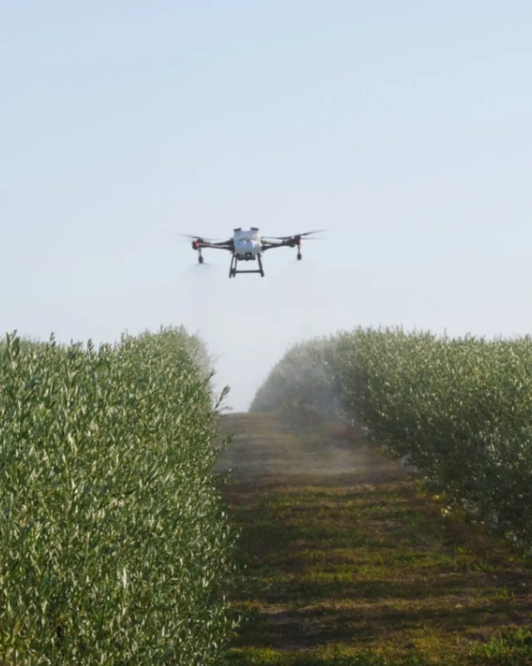Servizio con drone verticale.
